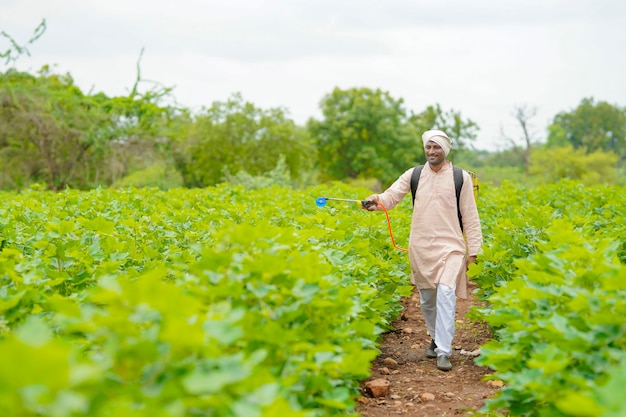 綿花畑で農薬を散布するインドの農民。
