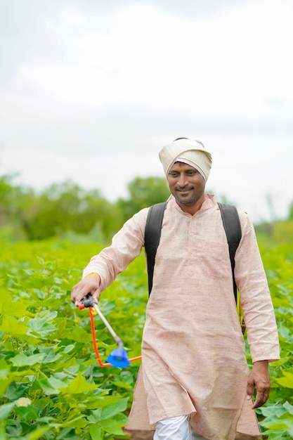 Indian farmer spraying pesticide at cotton field.