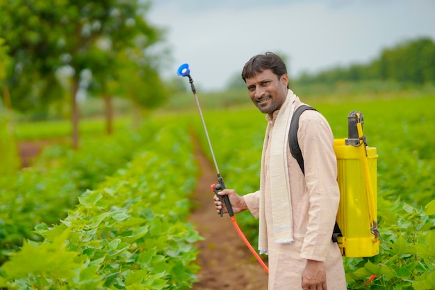 Indian farmer spraying pesticide at cotton field.