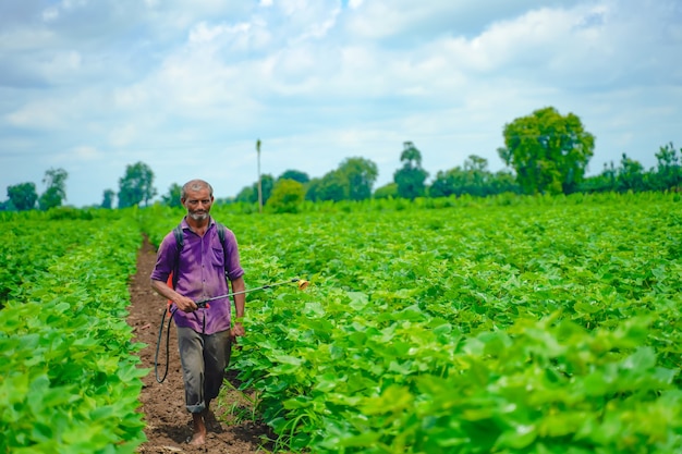 Indian farmer spraying pesticide at cotton field