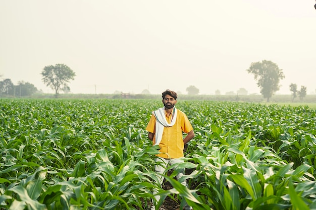 フィールドに立っているインドの農夫