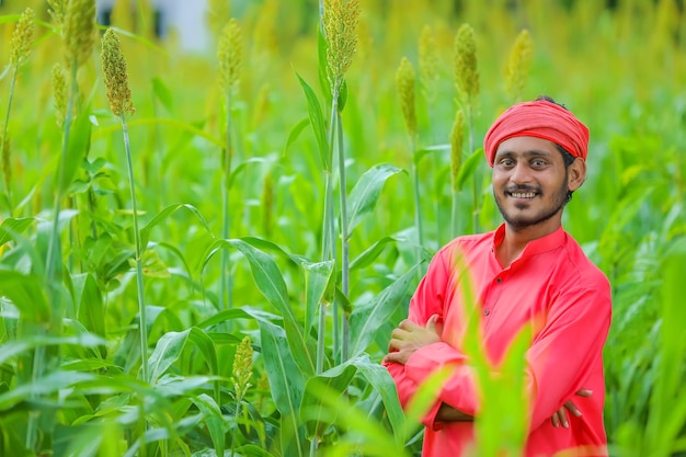 Indian farmer standing in sorghum field