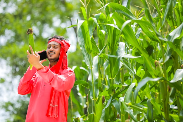 Coltivatore indiano che parla sul telefono cellulare al campo di mais verde