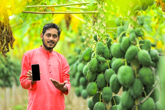 Indian farmer in a traditional costume on the papaya field