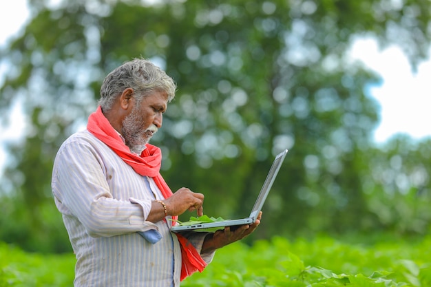 Indian farmer using a laptop at agriculture field