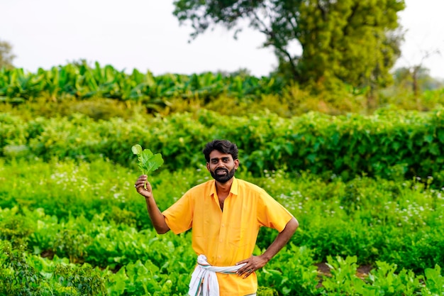 Indian farmer at vegetable field