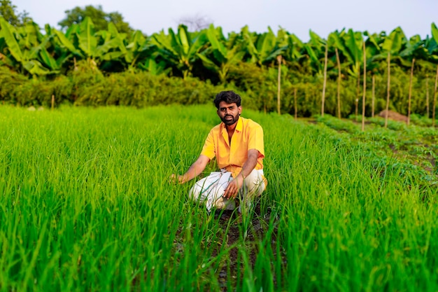 Indian farmer at vegetable field