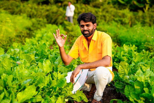 Indian farmer at vegetable field