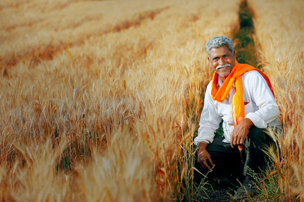 Coltivatore indiano nel campo di grano