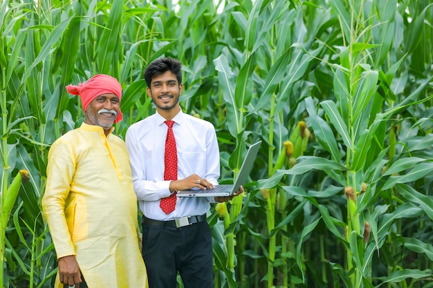 Contadino indiano con agronomo al campo di mais e mostrando alcune informazioni sul laptop