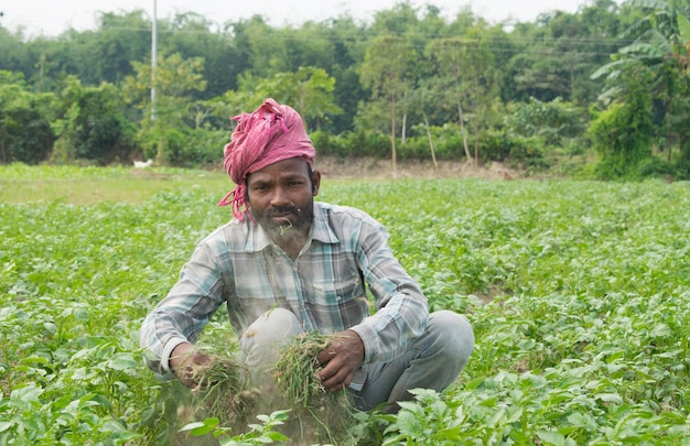 Photo indian farmer working at agricultural field