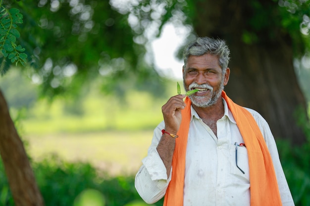 写真 フィールドで働くインドの農家
