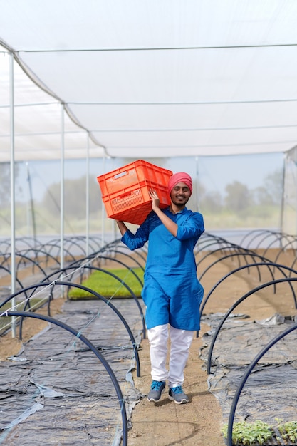 Indian farmer working at green house