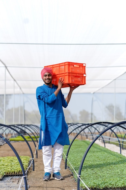 Indian farmer working at green house