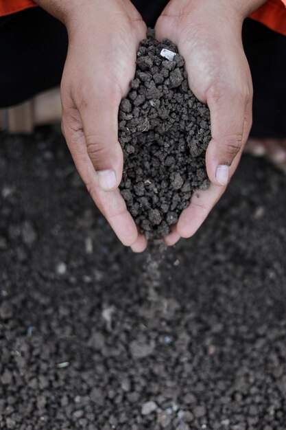 Foto le mani degli agricoltori indiani