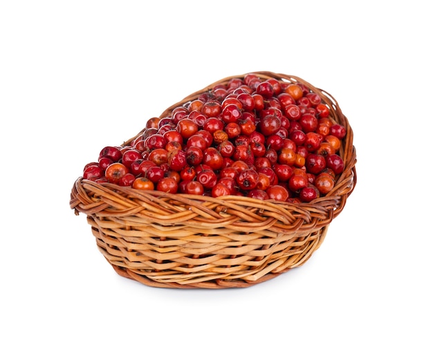 Indian Fruit Red Berry on White wall