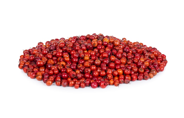 Indian Fruit Red Berry on White wall