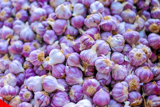 indian garlic, background