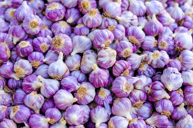 indian garlic, background