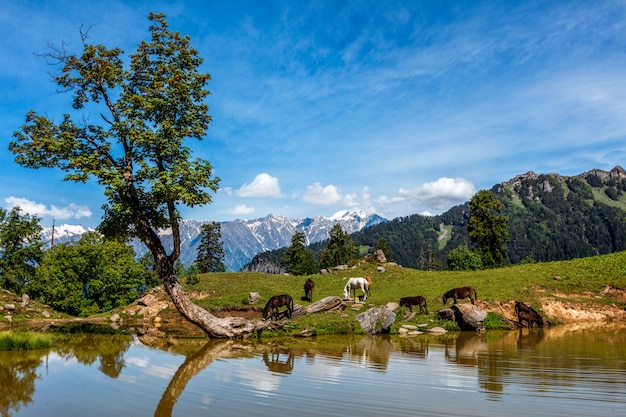 Indian Himalayan landscape in Himalayas