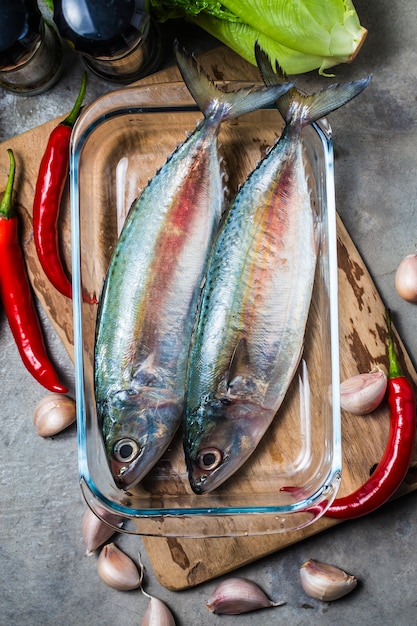 Indian mackerel Rastrelliger kanagurta