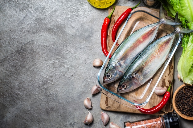 Indian mackerel Rastrelliger kanagurta