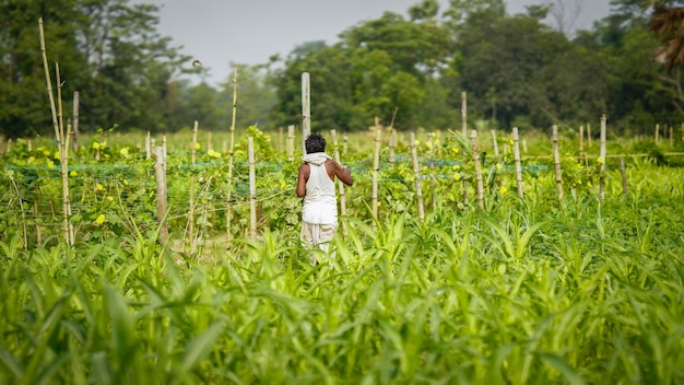 Indiano povero contadino in piedi nel campo agricolo