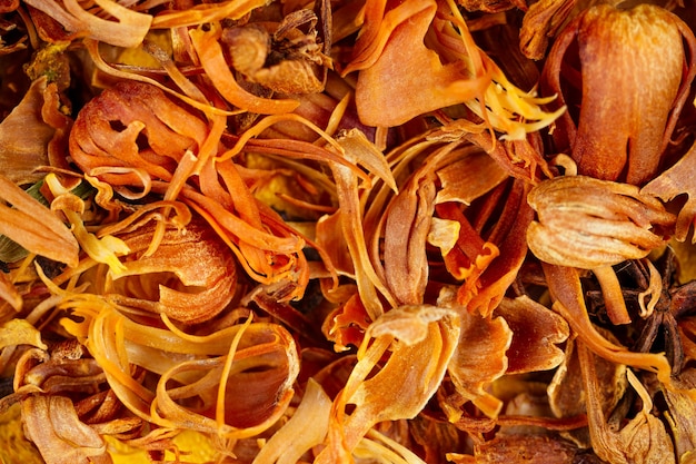 Indian spices closeup