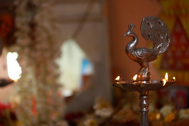 Photo indian wedding candidi photo