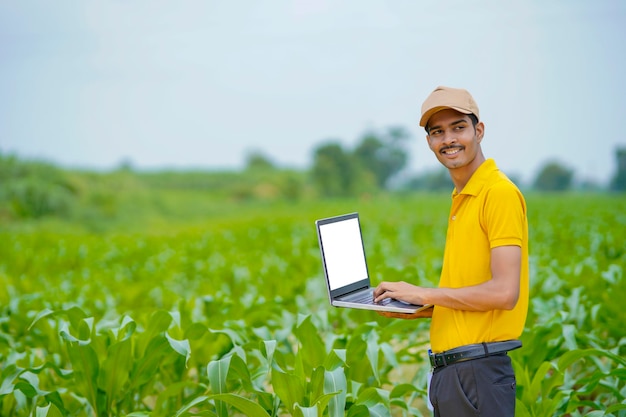 Indiase agronoom of bankier met behulp van laptop op landbouwveld.