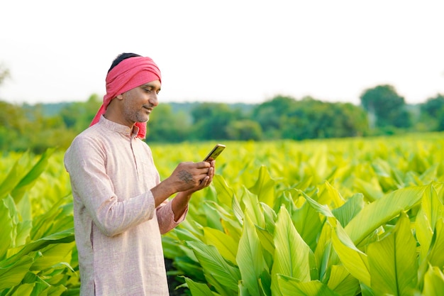 Indiase boer die smartphone gebruikt op het gebied van de kurkuma-landbouw