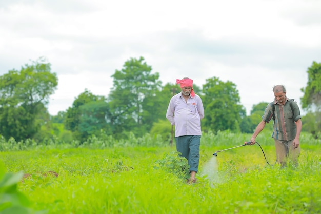 Indiase boer en arbeid sproeien van pesticiden op het veld