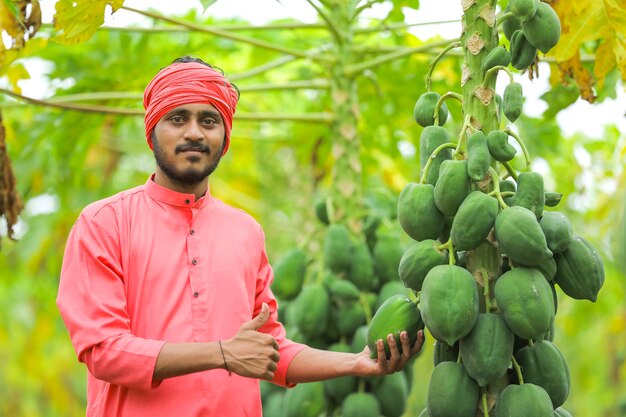 Indiase boer in een traditionele klederdracht op het papajaveld