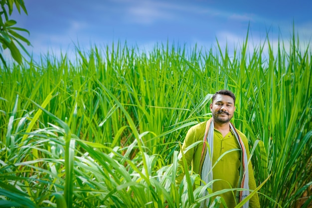 Indiase boer op suikerriet veld