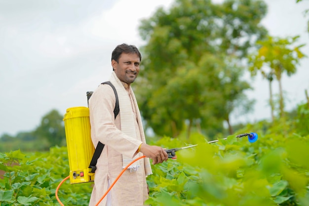 Indiase boer spuit pesticide op katoenveld.