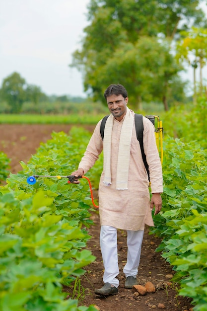 Indiase boer spuit pesticide op katoenveld.