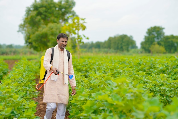 Indiase boer spuit pesticide op katoenveld.