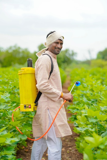 Indiase boer spuit pesticide op katoenveld.