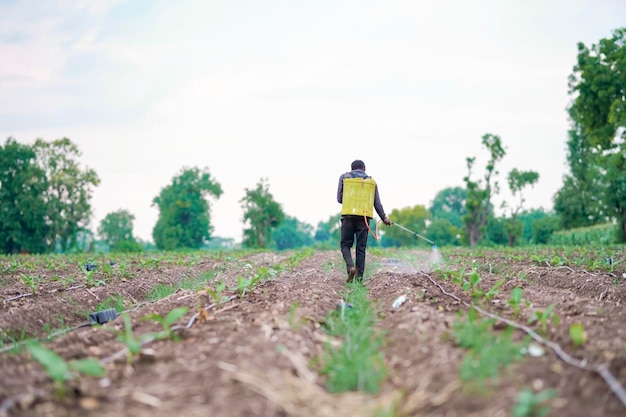 Indiase boer spuit pesticiden in groene bananenlandbouw