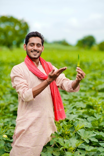 Indiase boer staat en houdt ladyfinger in de hand op landbouwveld.