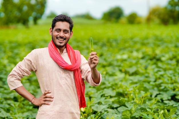 Indiase boer staat en houdt ladyfinger in de hand op landbouwveld.