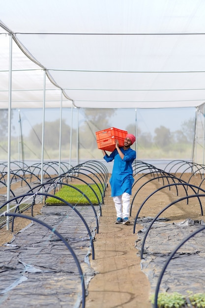 Indiase boer werkt bij groen huis