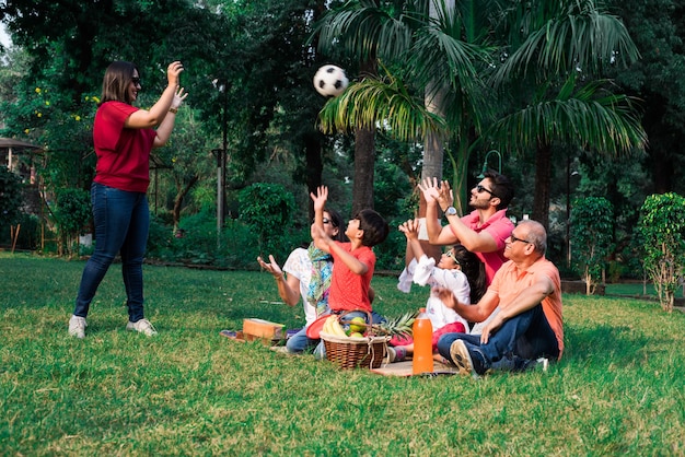 Indiase familie geniet van picknick - Aziatische familie van meerdere generaties zit over gazon of groen gras in het park met fruitmand, mat en drankjes. selectieve focus