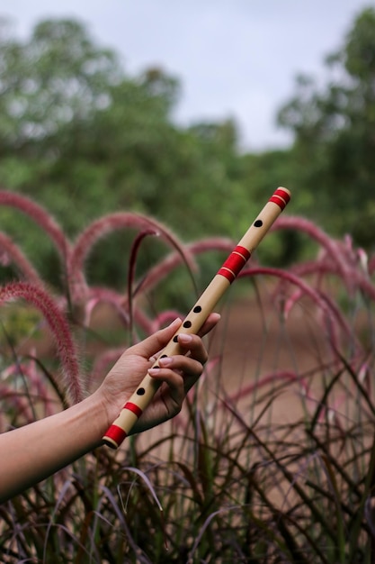 Indiase klassieke fluit met natuurlijke achtergrond