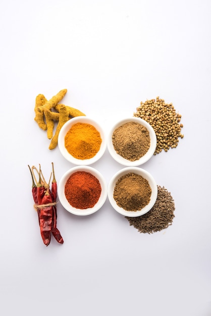 Indiase kleurrijke kruiden. Groepsfoto van vier Indiase basiskruiden zoals rauwe rode peper, kurkuma, koriander en komijnpoeder. selectieve focus