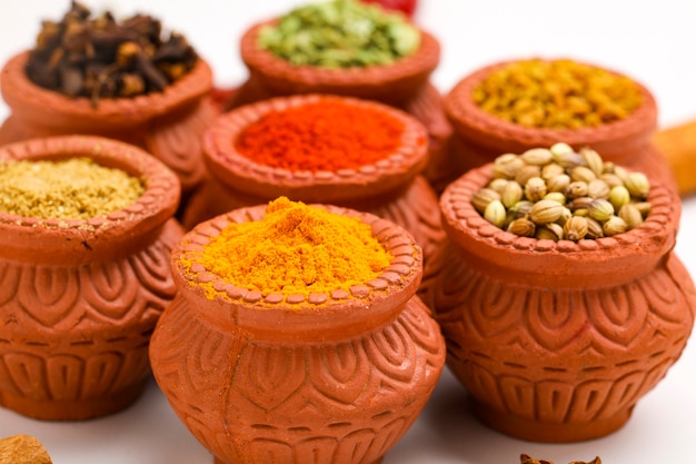 Indiase kruidencollectie, gedroogde kleurrijke kruiderij, noten, peulen en zaden en nog een kruiden in kleikommen.