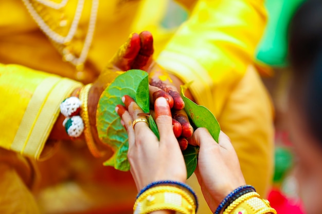 Indiase traditionele huwelijksbruidegom hand in haldi-ceremonie