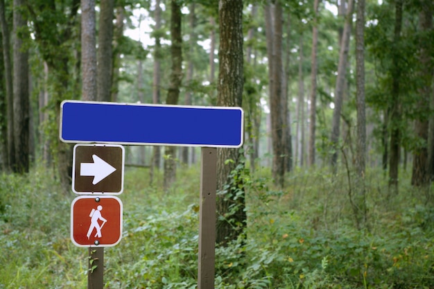 Indicatief teken in het bos