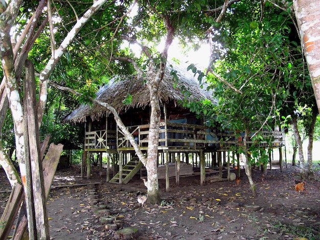 Indisch dorp aan de Amazone rivier Peru Zuid-Amerika