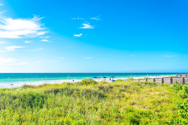 Indisch rotsenstrand met groen gras in Florida, de VS